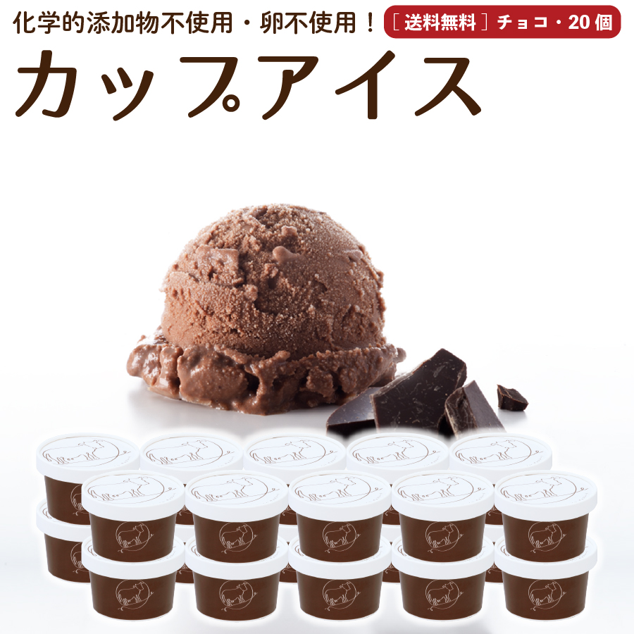 卸売 プレゼント ギフト アイスクリーム 個 チョコレート 卵不使用 無添加 詰め合わせ スイーツ グラスフェッド 有機 お取り寄せ 送料込み 冷凍 Gift 大人の上質 Www Mahottaripost Com Np