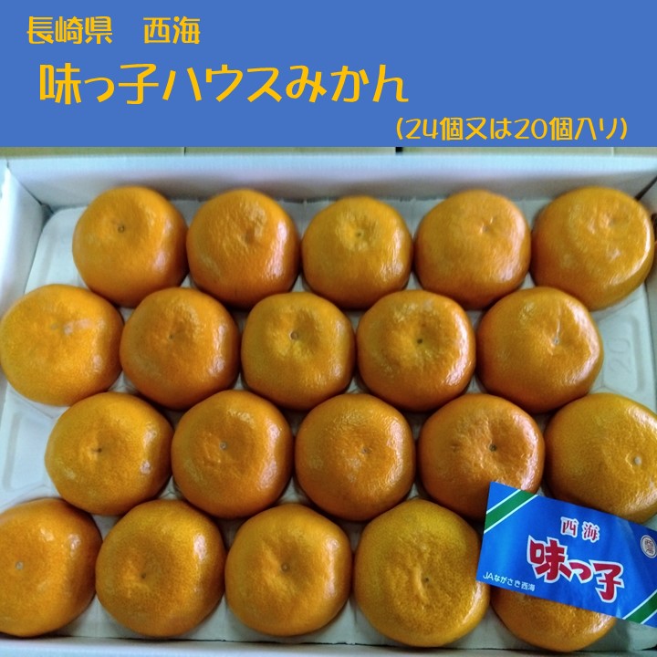 楽天市場】味好鳥みかん（あじこうちょう）通販 お歳暮長崎県諫早産