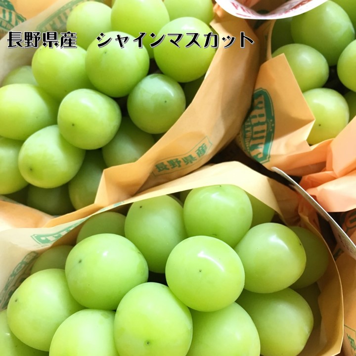 【シャインマスカット】長野県JAながの須高　約５ｋｇ　10～12房入り甘くて美味しい！！　９月１６日頃より順次発送予定です。