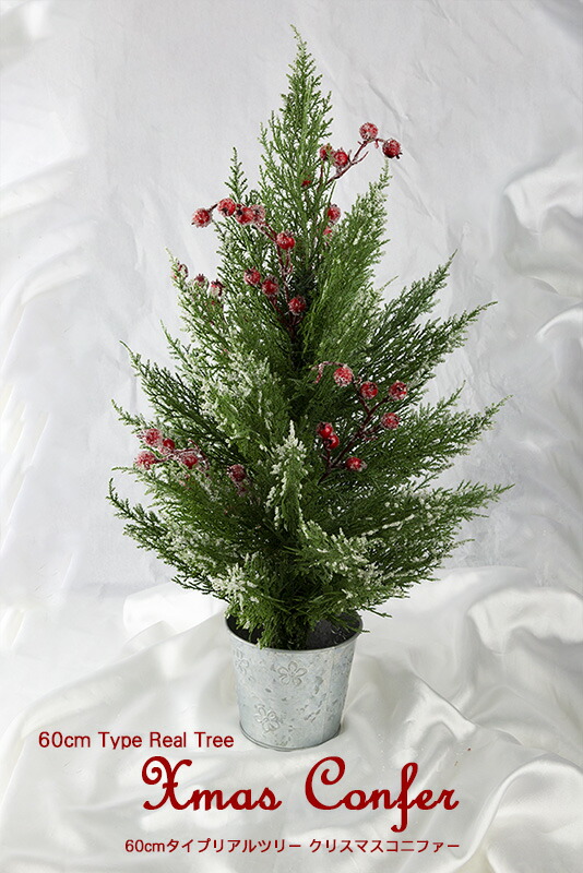 楽天市場 クリスマスツリー 60cmタイプリアルポットツリー クリスマスコニファー Nakajo S Christmas