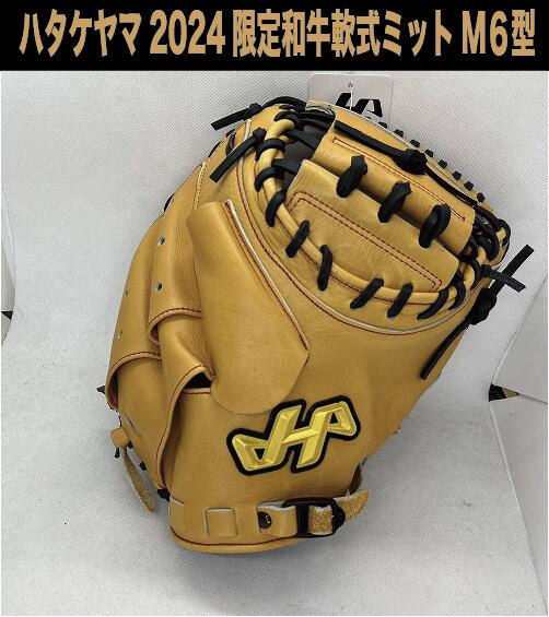 【和牛軟式】限定軟式キャッチャーミット 和牛ブラウン【湯もみ＆送料無料】