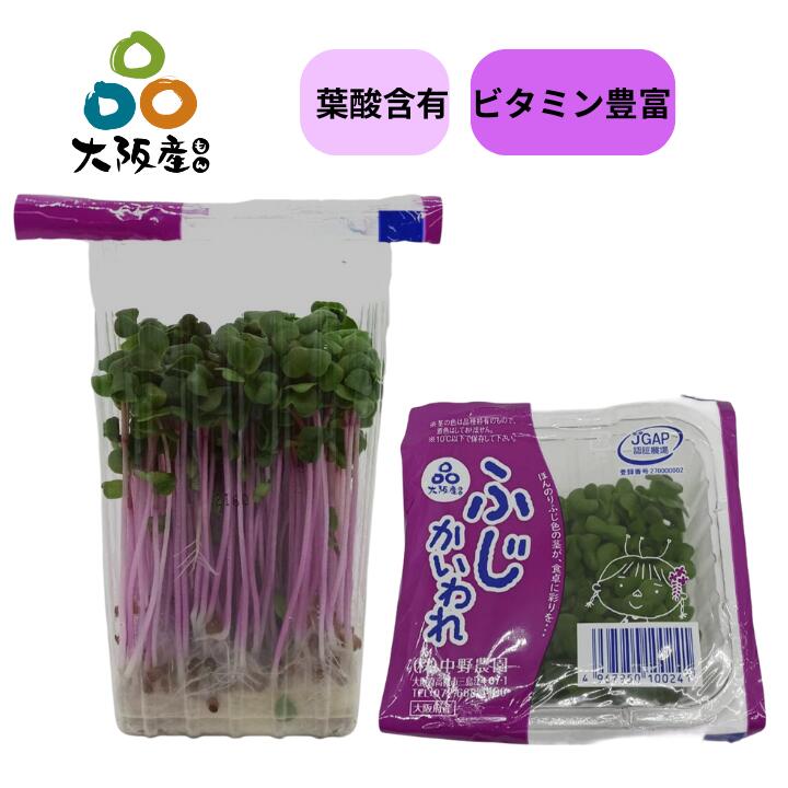 楽天市場】【箱売】 かいわれ大根 シングルパック 20パック 1箱 埼玉県