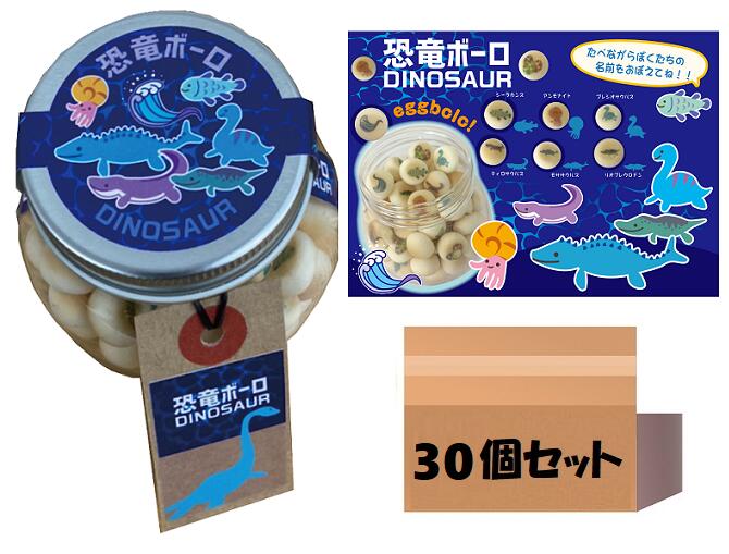 当店でしか買えません 子供 が 喜ぶ お 菓子 海の恐竜ボーロ 50g 30個 1ケース たまごボーロ 卵ボーロ 赤ちゃん ベビー 子供 男 男子 恐竜 ダイナソー おみやげ 土産 恐竜図鑑 ぬいぐるみ グッズ 誕生日プレゼント お中元 21 送料無料 Prescriptionpillsonline Is