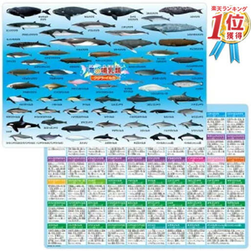 楽天市場 1000円ポッキリ 送料無料 海産物大全 鮪 鰹 鰤 青魚 河豚編 55種類 下敷き 約h210 W297mm サイズ 魚 水族館 海 生き物 イラスト 小学生 子供 男 男の子 女 女の子 喜ぶ グッズ 誕生日 誕生日プレゼント 買い回り ポイント消化 お歳暮 22 メール 楽天市場 1000円ポッキリ 送料無料 海産物大全 鮪 鰹 鰤 青魚 河豚編 55種類 下敷き 約h210 W297mm サイズ 魚 水族館 海 生き物 イラスト 小学生 子供 男 男の子 女 女の子 喜ぶ グッズ 誕生日 誕生日プレゼント 買い回り ポイント消化 お歳暮 22 メール
