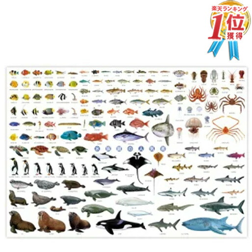 楽天市場】【紅型工房べにきち】ポスター 琉球の魚 : 沖縄かりゆし