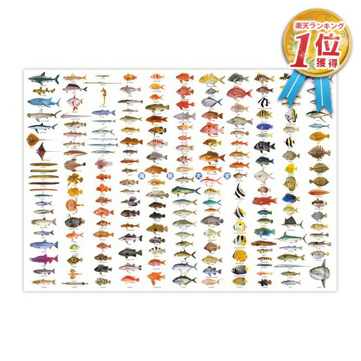 紅型　壁掛け　インテリア　沖縄　琉球　魚　fish 紅型 壁掛け インテリア 沖縄 琉球 魚 fish コレクション