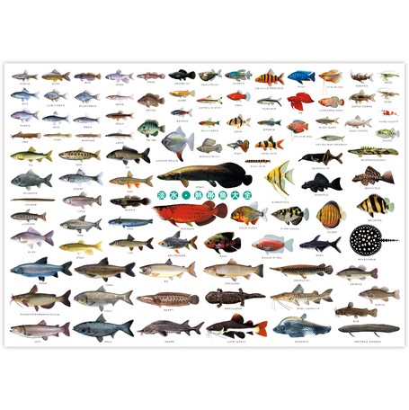 紅型　壁掛け　インテリア　沖縄　琉球　魚　fish fit=scale-down,w=1200