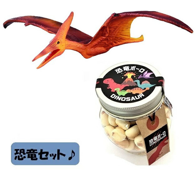 大人気 collecta (コレクタ)恐竜 ダイナソー プテラノドン 88039 フィギュア & 恐竜ボーロ 50g (2種セット)たまごボーロ(卵ボーロ)子供 男 グッズ 誕生日 誕生日プレゼント お中元 2021