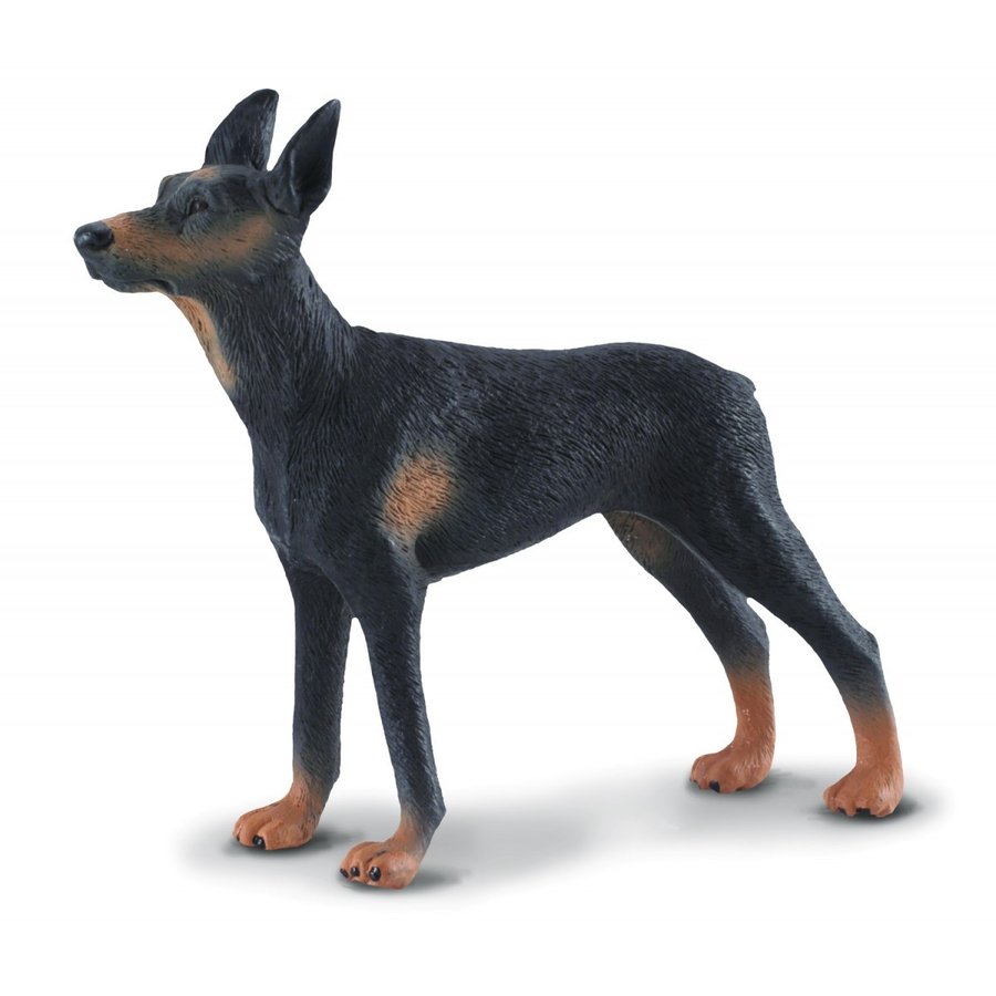 楽天市場 Collecta コレクタ ドック 犬 ドーベルマン 086 フィギュア おもちゃ セット 子供 男 グッズ 誕生日 誕生日プレゼント お中元 21 なかのふぁくとりー 楽天市場店