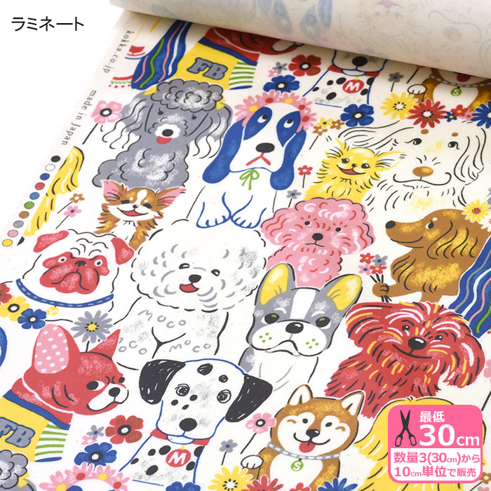 楽天市場】【スーパーセール中はポイント5倍】ラミネート 【図鑑