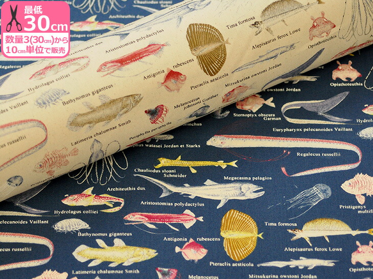 楽天市場 調味料柄 オックス生地 生成り イエロー エンジ ターコイズ 和柄 ほっこりjapan 入園入学通園通学 しょうゆ 味噌 からし 砂糖 Loa 2 Handicraft メルシー