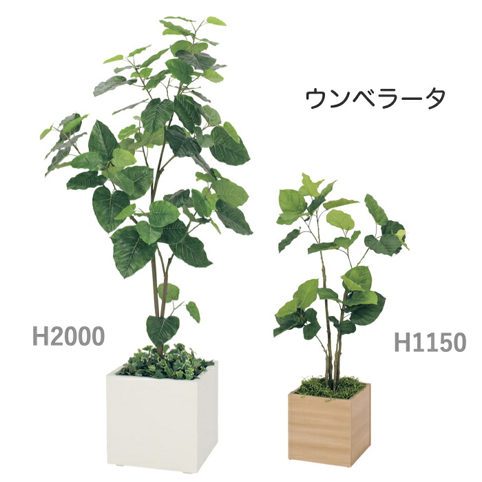 人工あずま屋 ウンベラータ（H2000・H1150） 人工観葉草木 ボックスプランター あずま屋プランター 室内装飾緑であること