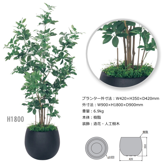 当店限定販売売れ筋 ボックスプランター ナカサ シェフレラ H1700 H1800 人工観葉植物 人工観葉植物 人工観葉植物 家庭の窓際の目隠しや オフィス 施設 ショールーム 役所 店舗用に 開店 新築祝い向け シェフレラ H1700 H1800 樹木プランター 水やり日当たり