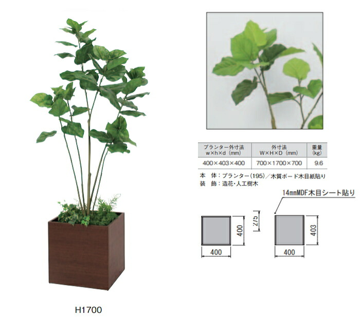 人工観葉植物 ボックスプランター 樹木プランター インテリアグリーン 窓工房 ナカサ 人工樹木 ウンベラータ H1900 H1700 H1150 花 観葉植物 人工観葉植物 水やり日当たり不要の人工樹木 家庭の窓際の目隠しや オフィス 施設 ショールーム 役所 店舗用に お祝い