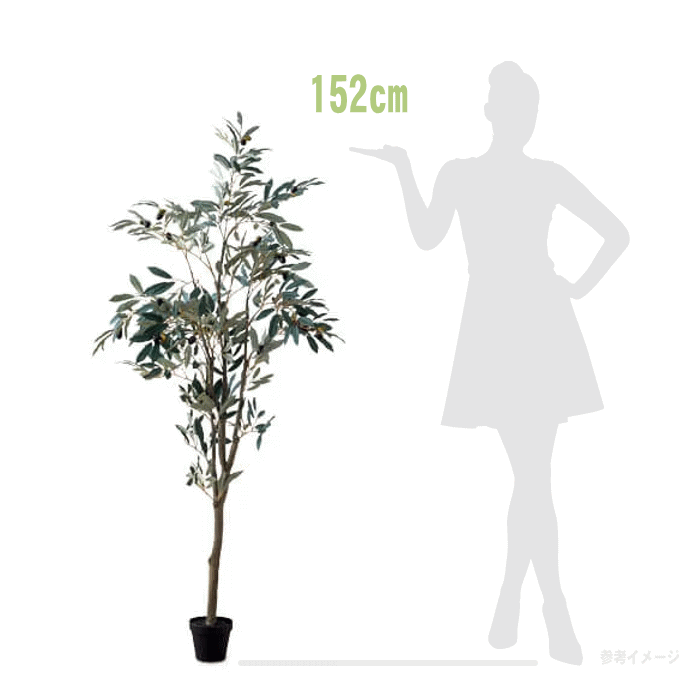人工観葉植物 ユーカリ P282-a50991 ポット付き 高さ150cm