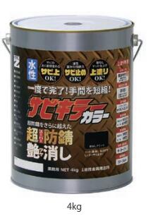 BAN-ZI サビキラーカラー艶消し ブラック 4Kg