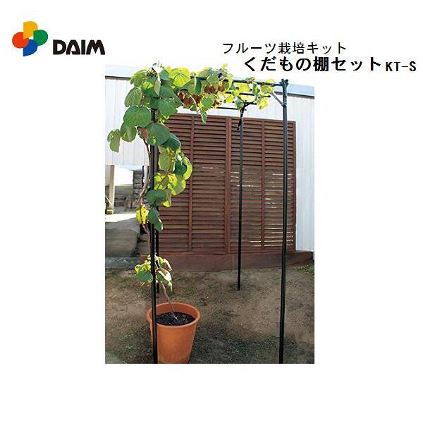 楽天市場 送料無料 一部地域を除く Daim くだもの棚セット Kt S 1cm 90cm フルーツ栽培キット あきんど ナカシマ