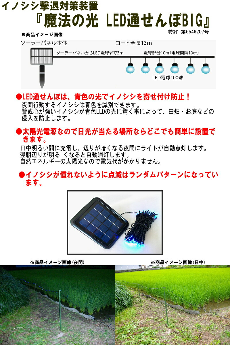 公式ショップ】 イノシシ防止 魔法の光 ＬＥＤ通せんぼＢＩＧ tartascristina.com