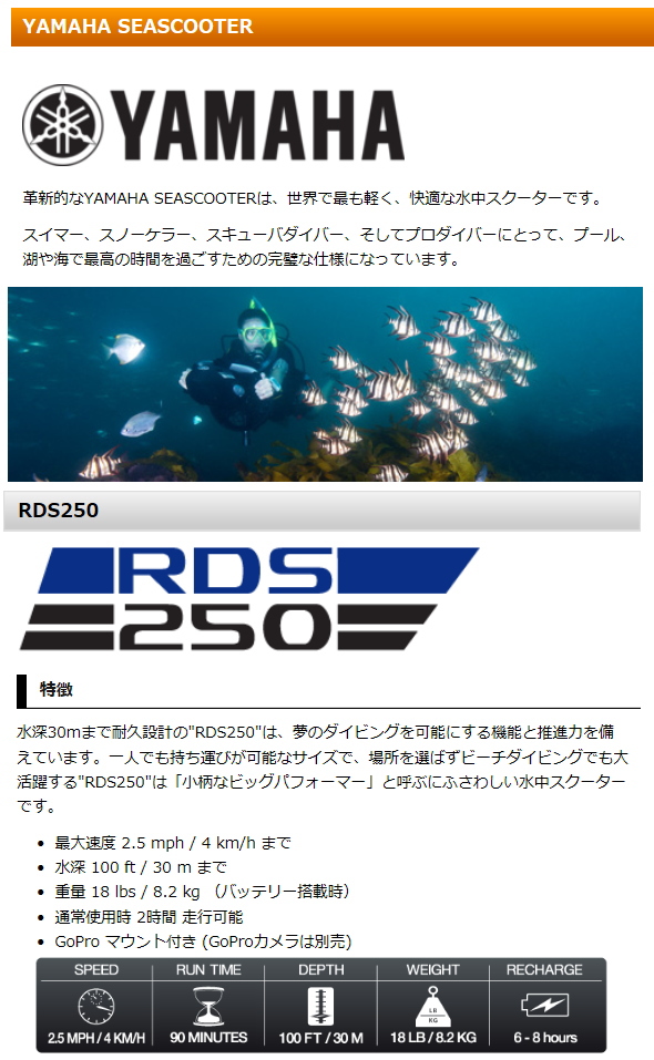 YAMAHA シースクーター RDS250』 マリンスポーツ | dermascope.com