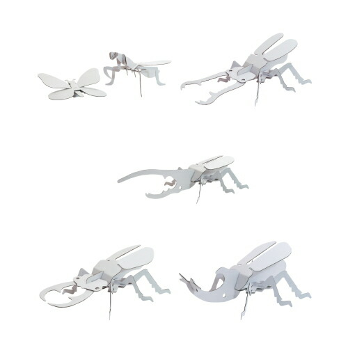 【8個までゆうパケット送料240円】 自由研究 自由工作 ハコモ hacomo kids キッズ 昆虫シリーズ チョウ＆カマキリ ギラファノコギリクワガタ ヘラクレスオオカブト クワガタムシ カブトムシ 段ボール ダンボール 工作キット 簡単工作 夏休み プレゼント ギフト おすすめ 人気画像