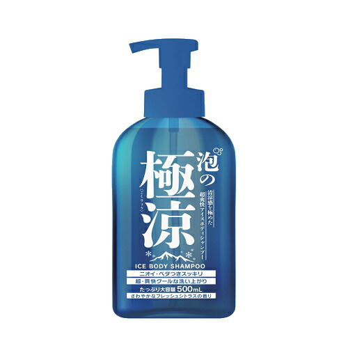 【在庫処分】化粧水　シャンプー　ボディーソープ　スキンケア　まとめ売り ボディーソープ 極涼 アイスボディシャンプー 1000ml 大容量