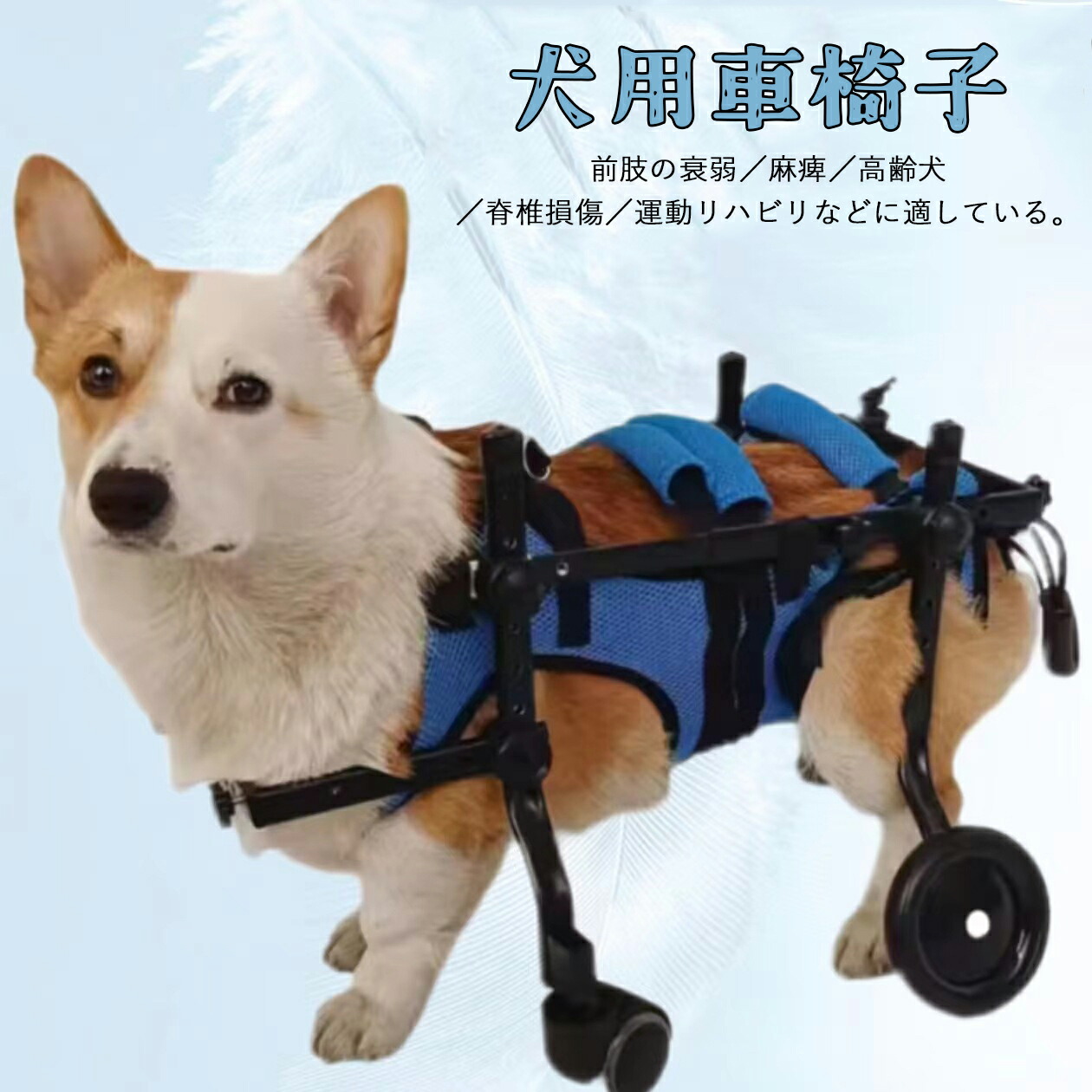 ♡ Co.Ra ♡　犬用車椅子　犬の歩行器　犬の車いす　歩行補助 Amazon.co.jp: 犬用車椅子 犬の歩行器 犬用2輪歩行器 後肢