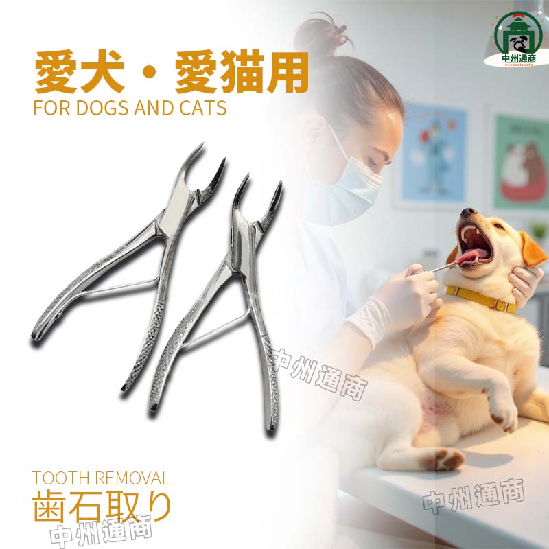 犬用デンタルケアペンチ ステンレス製 楽天市場】口腔用先丸ペンチ 中型犬や大型犬の歯石取りにも 愛犬