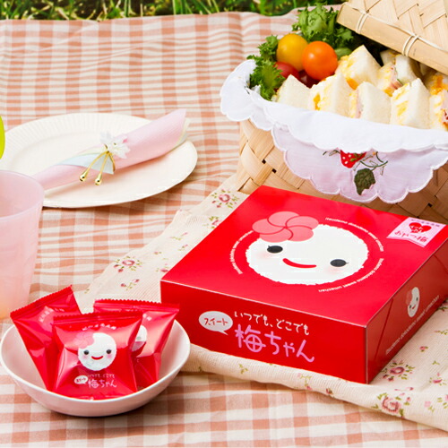 紀州産南高梅いつでもどこでもスイート梅ちゃん　梅干し　梅のお菓子　中田食品　和歌山県産　人気　紀州産　南高梅　おやつ梅　食塩不使用　贈答　プレゼント