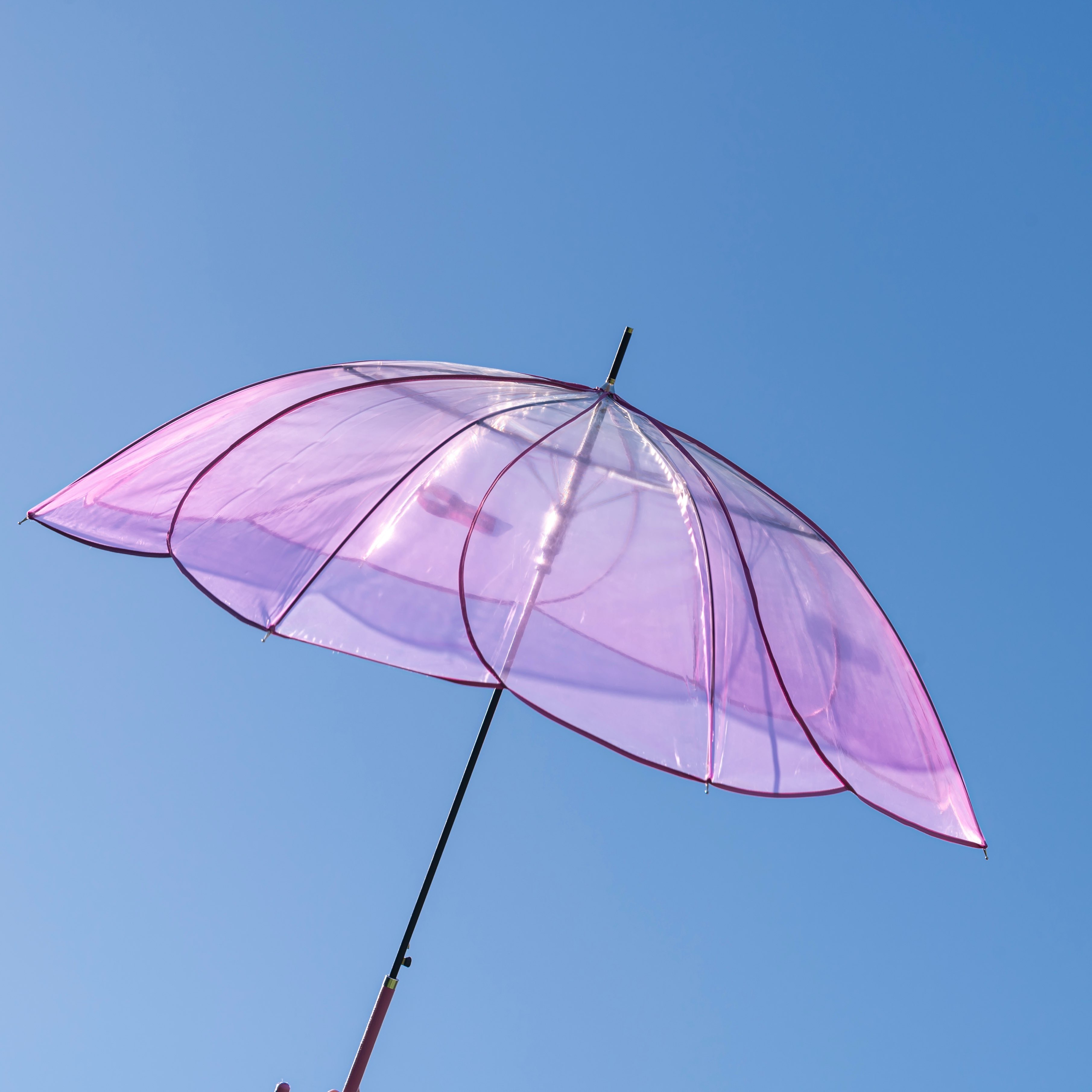 ♥️二度見するほど美しい♥️ 傘 花びら 日傘 パイピング ピンク - 傘
