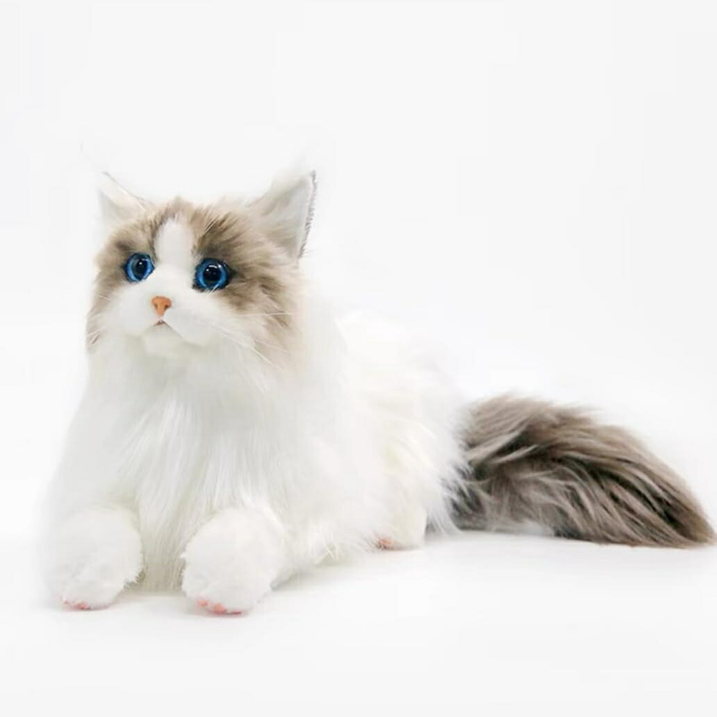 ぬいぐるみ ラグドール 猫 本物そっくり 即物的 寝具 添い寝枕 好いたらしい 遊び道具 毛の荒物 猫 抱き枕 座布団 だきまくら 差し上げ物 仕立てもの風呂敷き包み 彼 活動写真1 毛の荒物の遊び道具 卒祝賀会