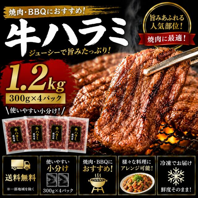送料無料 牛ハラミ 焼肉 約1.2kg(300g×4)大容量 牛肉 BBQ 焼肉セット ハラミ 赤身 お取り寄せ 家族 焼肉パーティー 冷凍 領収書 ハラミ焼肉 肉 牛 肉領収書 焼肉 メガ盛り 焼き肉 赤身焼肉 赤身肉はらみ|赤身肉専門店 red-meat