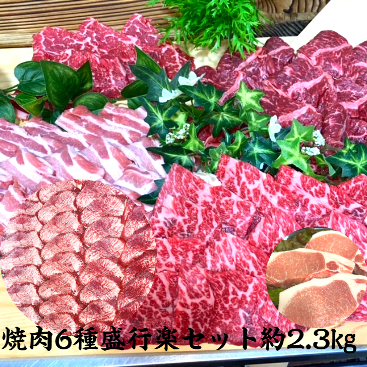 送料無料 6種類 盛り行楽 約2 3 焼肉 焼肉 盛り 焼き肉 焼肉 国産 焼肉盛合せ 焼肉盛り合わせ 焼肉 盛り肉 焼肉 通販 焼肉 お取り寄せ 黒毛和牛 焼肉 人気焼肉 やきにく q 黒毛和牛 国産 赤身 豚 豚 大人気大容量焼肉 Bixahuman Com