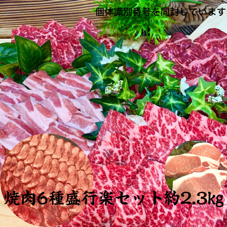 送料無料 6種類 盛り行楽 約2 3 焼肉 焼肉 盛り 焼き肉 焼肉 国産 焼肉盛合せ 焼肉盛り合わせ 焼肉 盛り肉 焼肉 通販 焼肉 お取り寄せ 黒毛和牛 焼肉 人気焼肉 やきにく q 黒毛和牛 国産 赤身 豚 豚 大人気大容量焼肉 豚 Aluksniesiem Lv