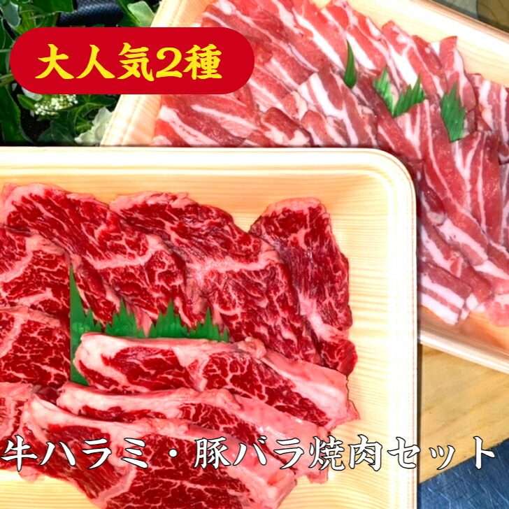 牛ハラミ 豚バラ焼肉2種セット 約700g はらみ 送料無料 焼肉 焼肉セット 焼き肉 焼肉プレート 焼肉セット国産 焼肉人気盛 牛豚セット 焼肉セット通販 焼肉セットお取り寄せ 焼肉セット通販おすすめ焼肉セットハラミ 焼肉セット 焼肉 焼き肉 焼肉2点盛 Novix Com