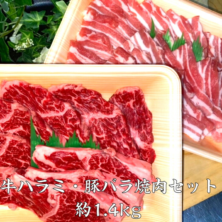 牛ハラミ 豚バラ焼肉2種セット 約1 4 G ハラミ約300g 2p 豚バラ約400 2 はらみ 送料無料 領収書 焼肉 焼肉セット 焼き肉 焼肉プレート 焼肉セット国産 焼肉人気盛 牛豚セット 焼肉セット通販 焼肉セットお取り寄せ 焼肉セット通販おすすめ焼肉セットハラミ 3r