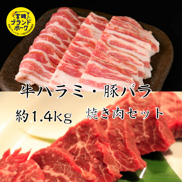 送料無料 牛ハラミ・豚バラ焼肉2種セット 約1.4kg 焼肉 焼肉セット 焼肉プレート やきにく焼肉セット国産 焼肉 ギフト 豚肉ばら ブタ ハラミ 牛肉 赤身肉 焼肉赤身
