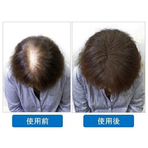 Nakayamashiki Onlineshop The Hidden Volume Powder Powder Which