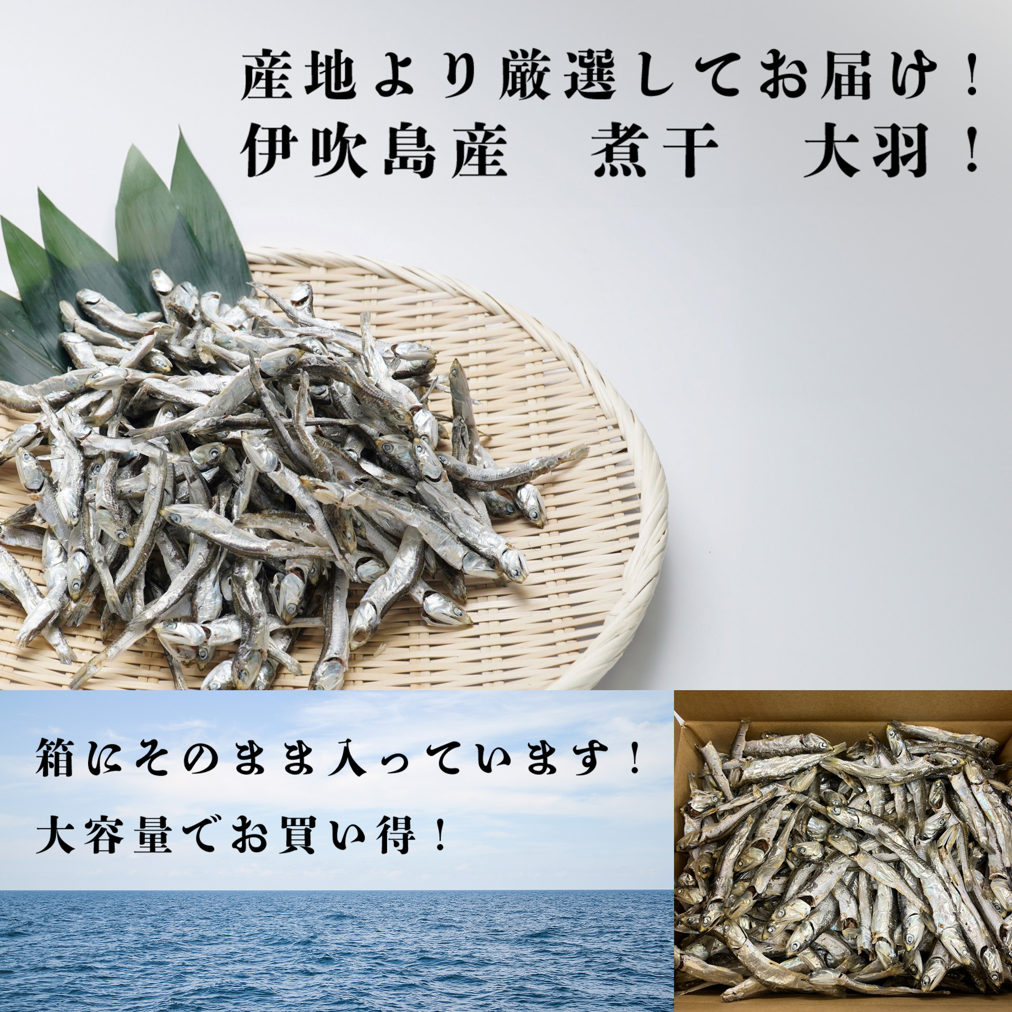 【２０２６年新物入荷】大量購入でお買い得！ 業務用にもおすすめ 伊吹島産　煮干　いりこ　1キロ 　箱入り　大羽　煮干　いりこ　伊吹いりこ　伊吹産　にぼし｜讃岐なかやま商店