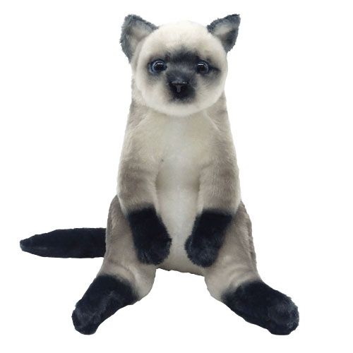 tyビーニーベイビーズ ネコぬいぐるみ　ペルシャ猫 tyビーニーベイビーズ ネコぬいぐるみ ペルシャ猫 tyビーニー