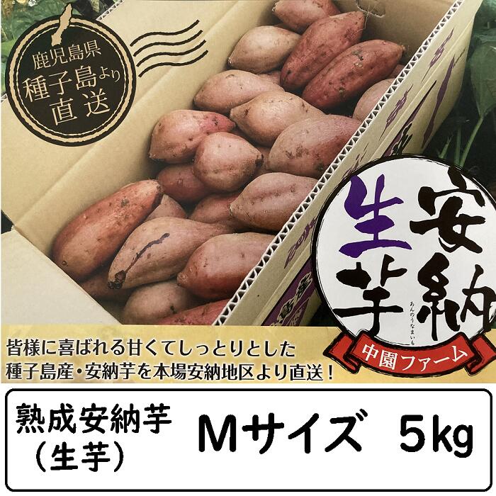 aya_____n 安納芋こがねバイオ苗のイモヅル販売300本 さつまいも苗 【 安納芋 】 150本 【予約販売 芋づる さつまいも
