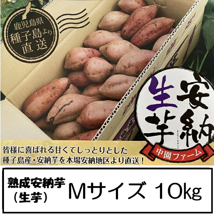 中園ファーム 熟成安納芋 さつまいも Mサイズ １０キロ 種子島 安納地区 安納芋発祥の地 みついも 蜜芋