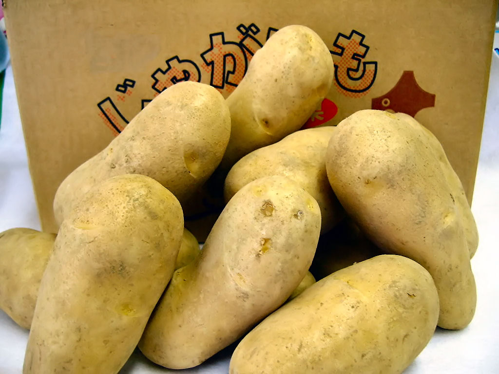 新じゃが　数量限定　10kg 箱込　02 楽天市場】じゃがいも10k箱（5枚） 発送用段ボールギフト箱