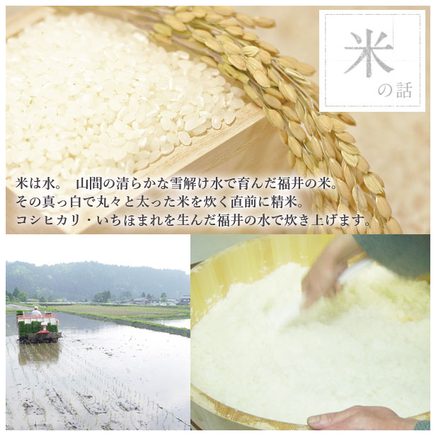 お中元 2022 ギフト 冷蔵 極上 トロサーモン寿司を福井から 小サイズ 届いたその日が旬の味わい
