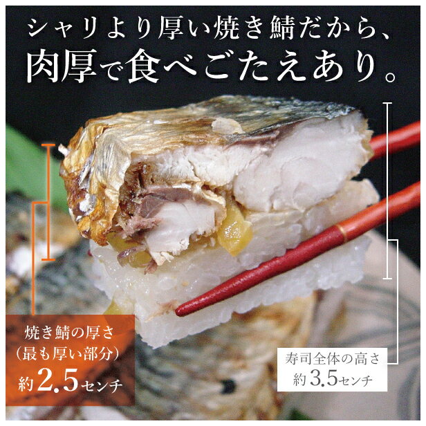 楽天市場 マラソンp2倍 冷蔵 極上 福井の味噌焼き鯖寿司 通常サイズ 届いたその日が旬の味わい 生鯖寿司お取り寄せの萩 プレゼントに 生さば寿司 越前 萩