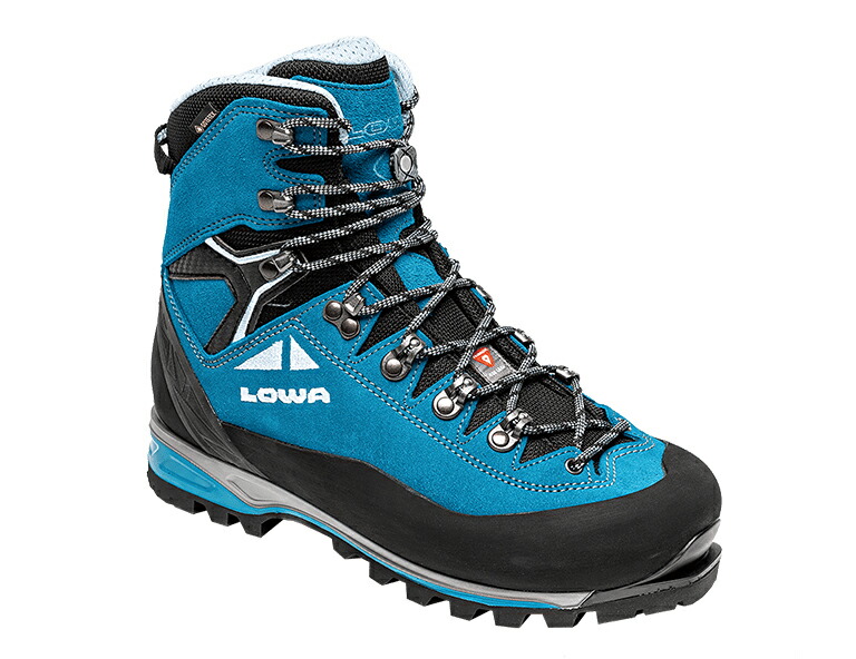 送料無料（一部地域を除く）】 LOWA ローバー ALPINE EXPERT II GT Ws