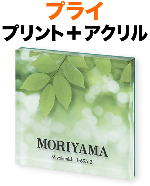 表札 プライシリーズ 機能門柱用 戸建て デジタルプリント 木漏れ日柄 透明アクリル 文字-ブラック 住所表記150×150 17mm 英字 名字-明朝体 住所-フーツラ体 鮮やか 優しい 華やか 暖かい 奥行き感 立体感 存在感 正方形 PYS-3-3