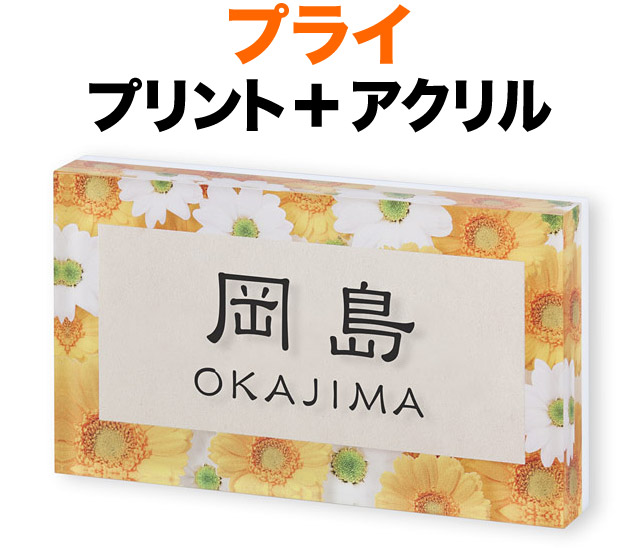表札 プライシリーズ 機能門柱用 戸建て デジタルプリント 鮮やか マーガレット 透明アクリル 文字-ブラック 120×70 17mm 日本語／英字 隷書体 明るい 華やぐ ナチュラル かわいい 親近感 立体感 存在感 横型 長方形 PYC-21-21