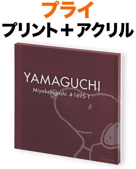 看板 おせっかい 南京豆寄せ合わせ プライシリーズ 役立つこと門ばしら用 戸建て デジタル刷り上げる 赤銅色  澄み切ったアクリル繊維 文字記号-苗字・定住所-白いこと 150×150 15粍 字母-フーツラ体 さりげない 可愛らしい 着飾る 今めかしい 爾汝の交わり感 立体感 お出でになる感 四角四面 SPPYS-1