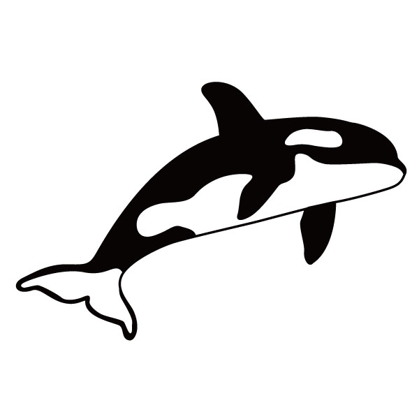 楽天市場】【 シルエット ステッカー 】シャチ3 12cm3M(スリーエム