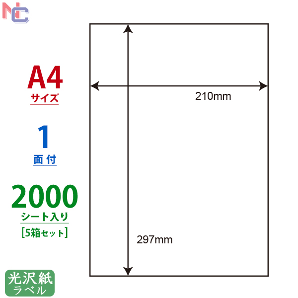 【楽天市場】SCL-6(L) 耐水光沢紙ラベル 63.5×63.5mm 12面 80